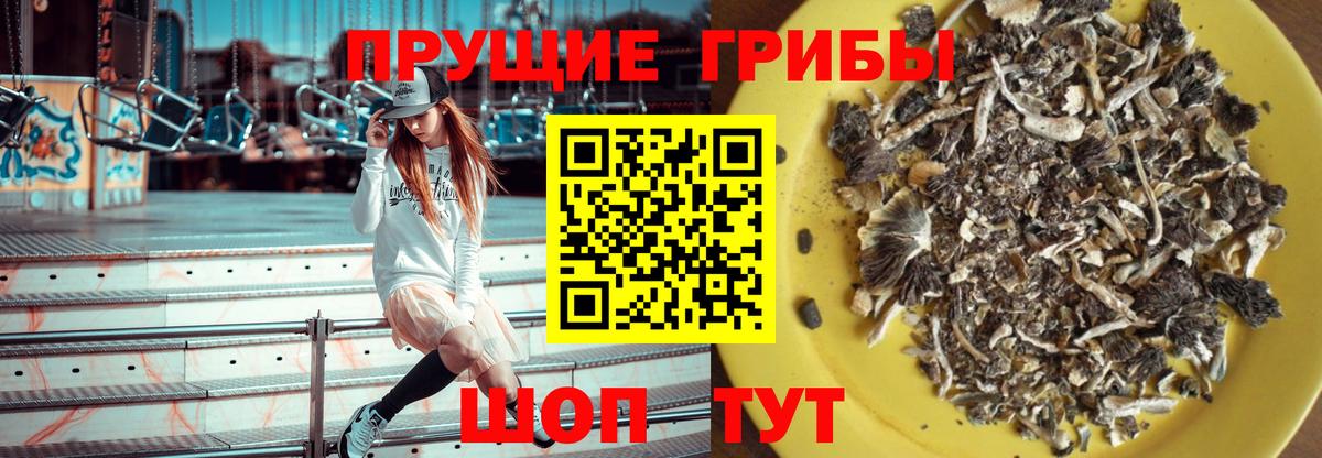 Галлюциногенные грибы GOLDEN TEACHER  Вход с VPN  Якутск  Псилоцибиновые грибы Psilocybine cubensis 