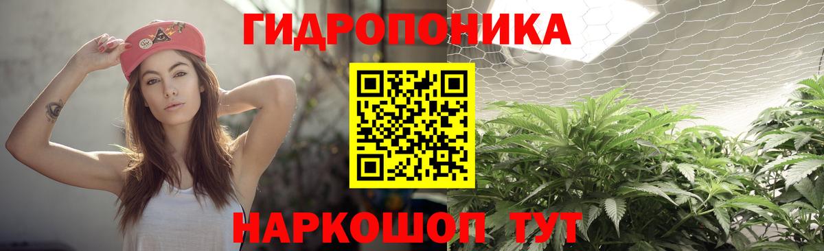Бошки марихуана OG Kush  МАРИХУАНА Amnesia  Бошки Шишки марихуана  Вход с VPN  Якутск 